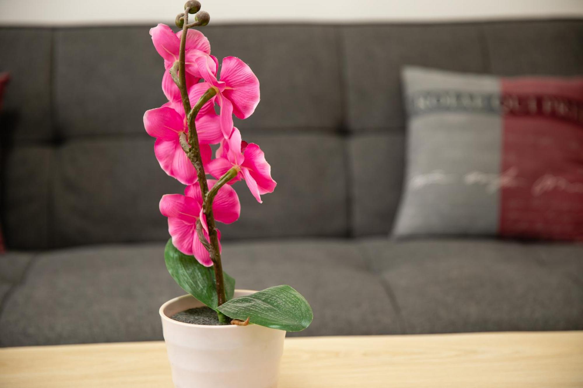 Apartment Rueppgasse Leopoldstadt Wien Екстериор снимка